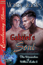 Gabriel's Soul -- Marcy Jacks